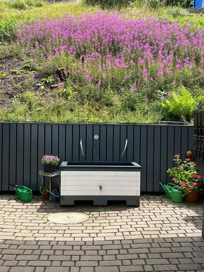 Modernes Top Apartment Mitten Im Bayerischen Wald + Wlan Kostenfrei Schofweg Germany