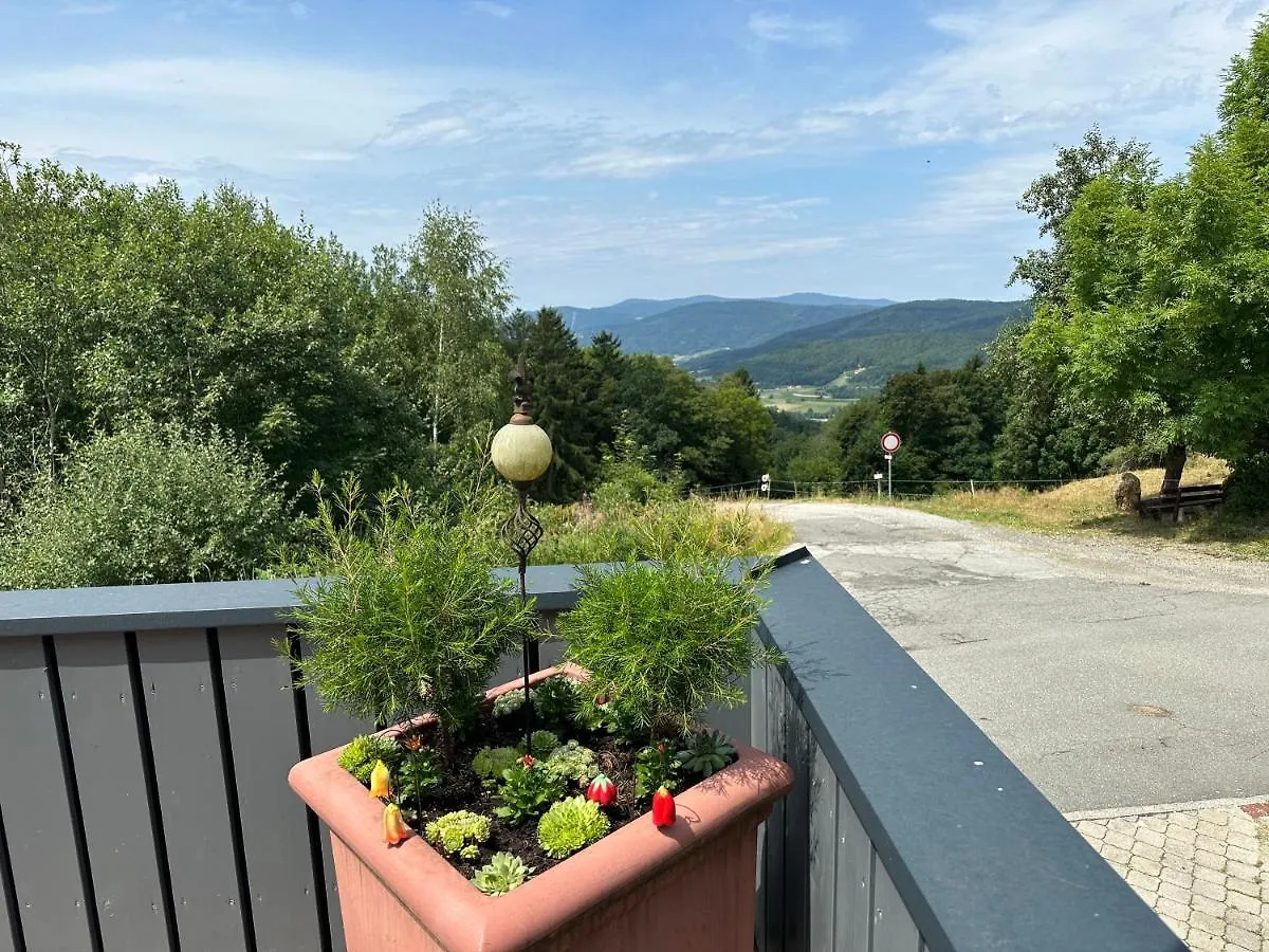 Modernes Top Apartment Mitten Im Bayerischen Wald + Wlan Kostenfrei Schofweg 0*,  Germany
