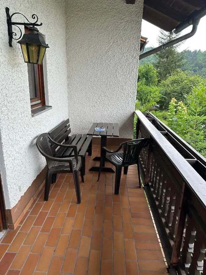 Modernes Top Apartment Mitten Im Bayerischen Wald + Wlan Kostenfrei Schofweg 0*,  Germany